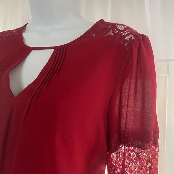 Express Small Dress with Lace Insert - Picture 3 of 7